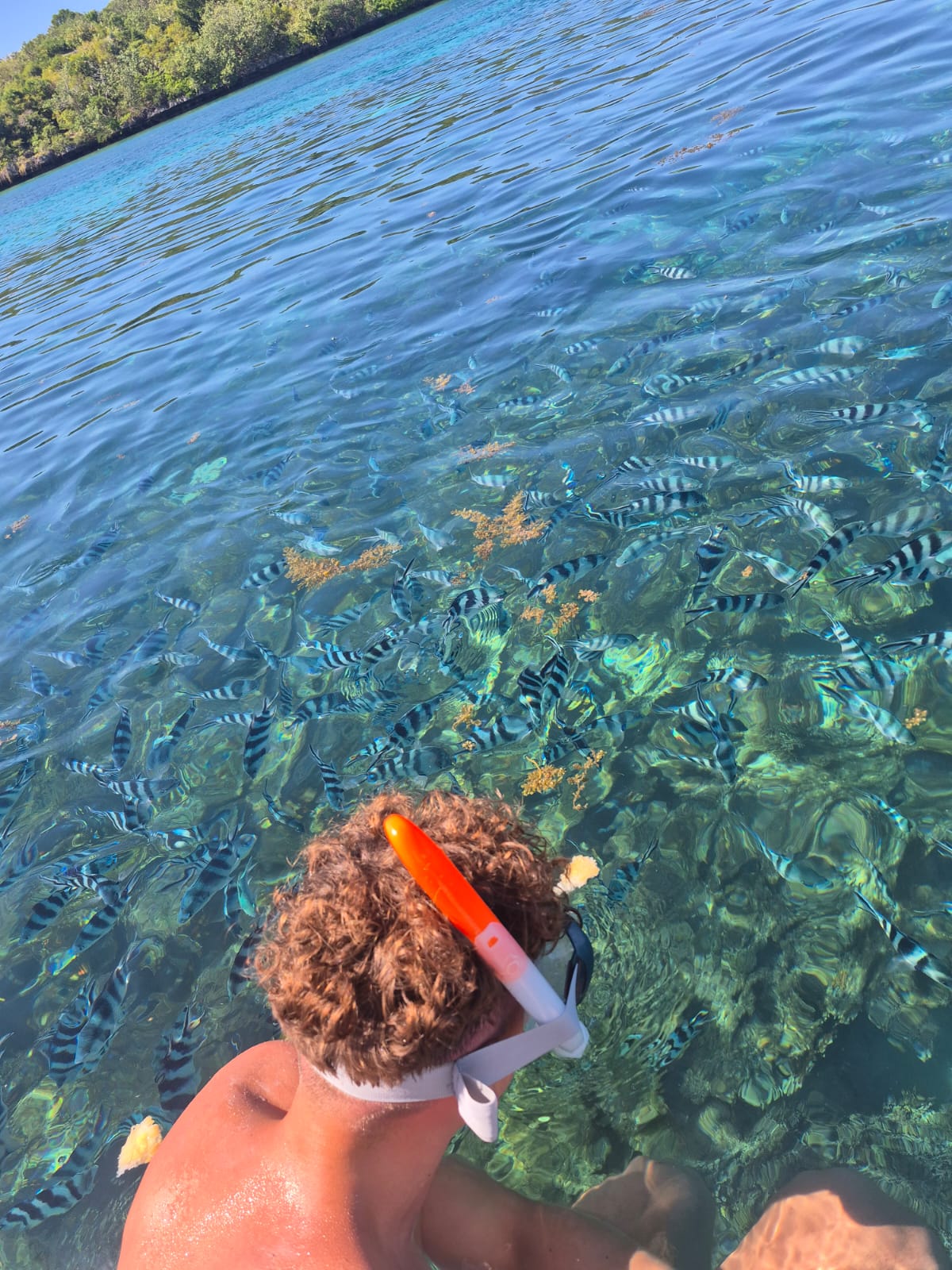Snorkeling in Mauritius lagoon